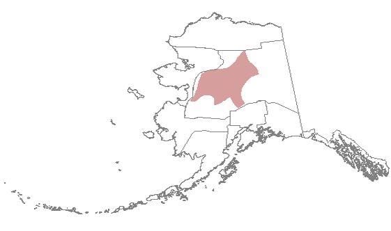 Koyukon / Denaakk’e Country